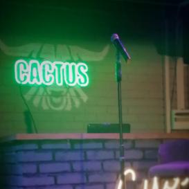 Локация CACTUS